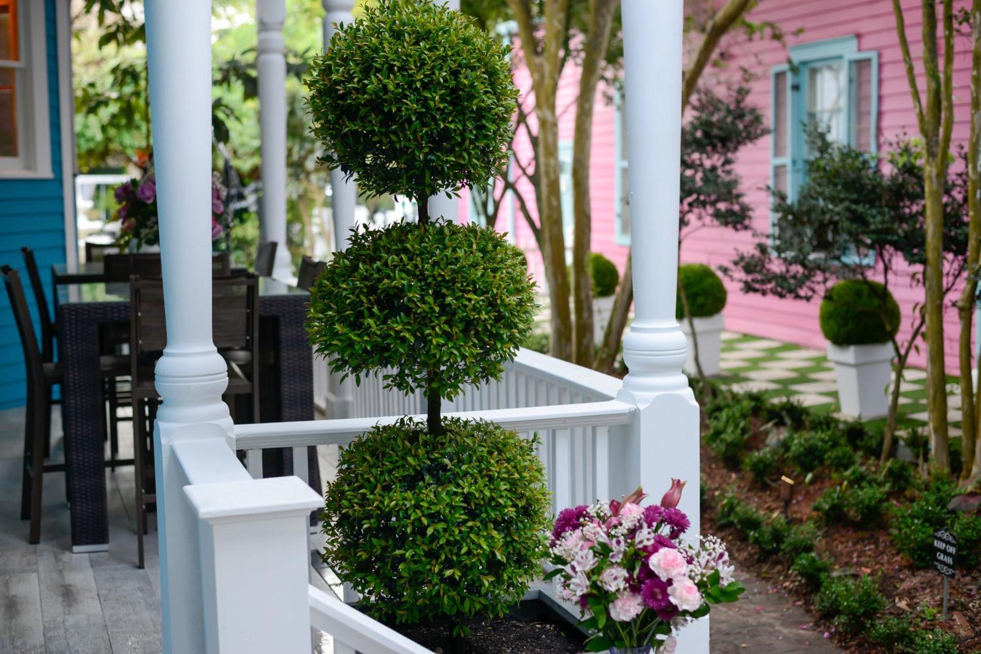 4 Bedroom - Sleeps 8! Celebrity Villa Next To Frenchman St New Orleans Exterior photo